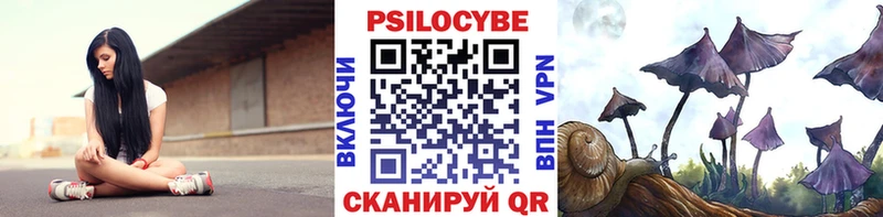 цена наркотик  Голицыно  blacksprut онион  Псилоцибиновые грибы MAGIC MUSHROOMS 